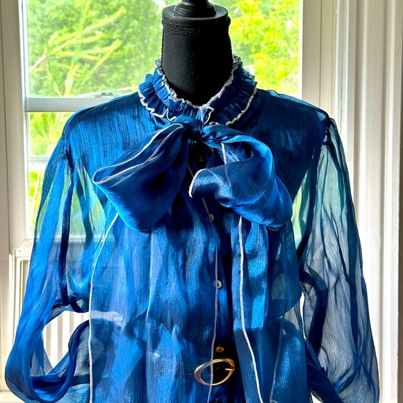 Shein Sheer blouse, long sleeves, Royal blue, women Plus size XL - Picture 3 of 11